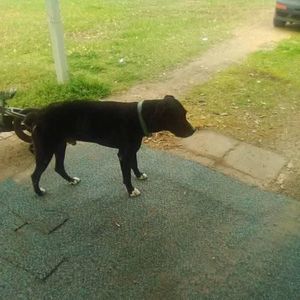 Meet your Posher, Debra